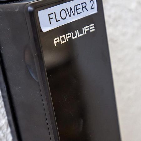Rona Apartment Flower 1 And Flower 2 Novalja Exterior foto